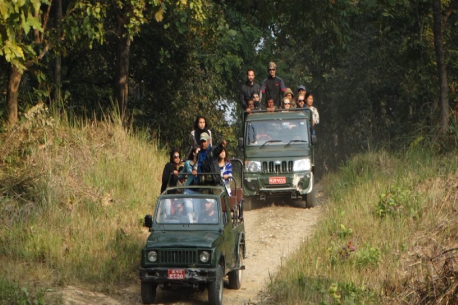 Chitwan National Park Package