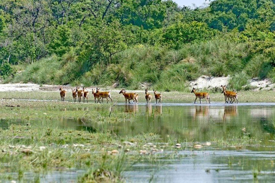 activities-you-can-do-in-chitwan-national-park