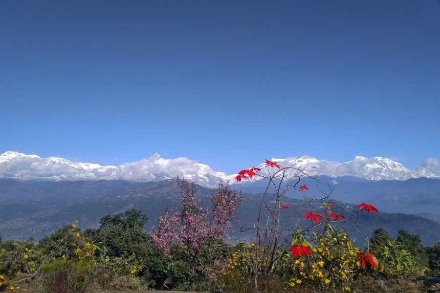 Amazing Adventure Tour Nepal